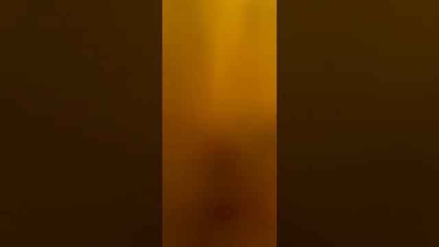 Весенний Дубовый лес ☘ смотреть онлайн