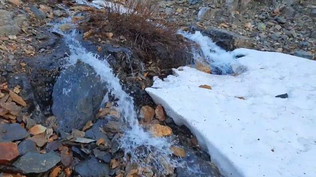 Прогулка к водопадному ручью смотреть онлайн