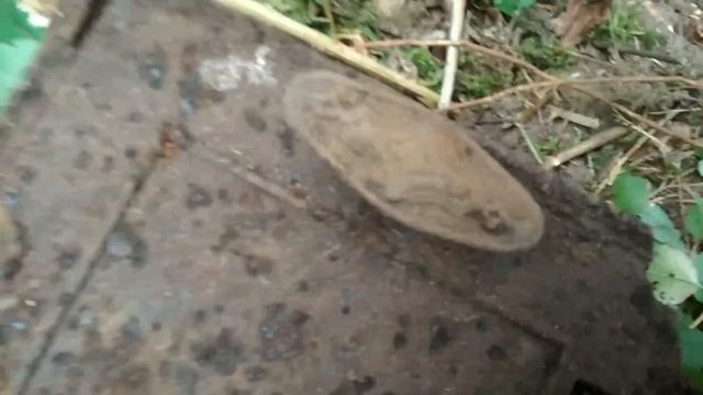 Поиск металлолома 2 часть смотреть онлайн
