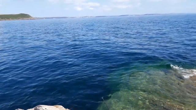 Рыбалка.Океане.Сарган.ФишДог смотреть онлайн