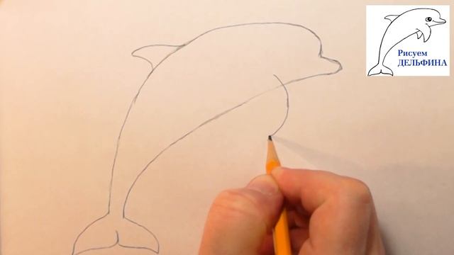 Как нарисовать дельфина карандашом легко и просто (рисуем поэтапно) смотреть онлайн