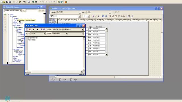 Oralce 10g / Forms Builder / Triggers смотреть онлайн