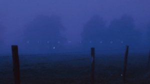 my head is empty, miranda rain - a way out