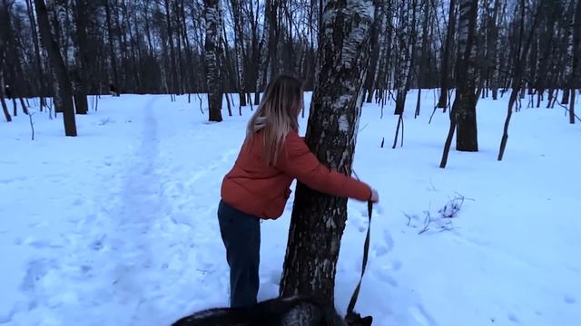 Социальный ролик «Не бросайте их» смотреть онлайн