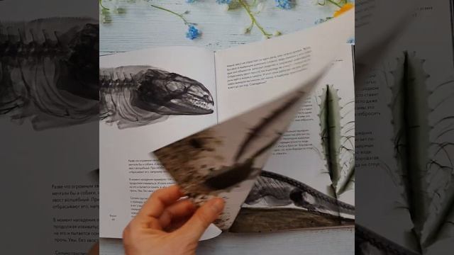 Вижу насквозь. Уникальные рентгеновские снимки животных, Ян Паул Схюттен смотреть онлайн