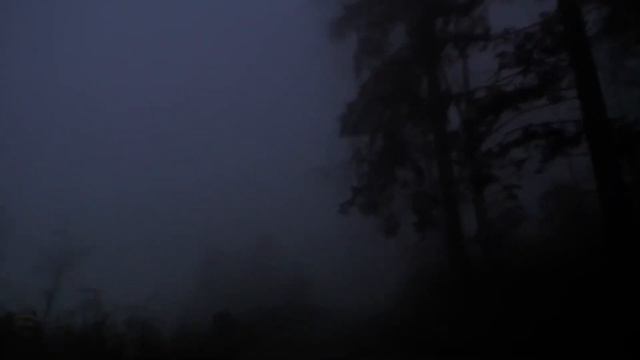 Человек без головы| ЖУТКИЕ ИСТОРИИ| ПСИХОПАТ В ДЕЛЕ смотреть онлайн