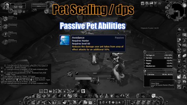 WOW TBC Classic Hunter PET DPS GUIDE: Pet Talents, Abilities, Buffs and LOTS MORE!!! смотреть онлайн