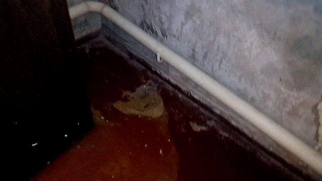 Комната,которая требует ремонта смотреть онлайн