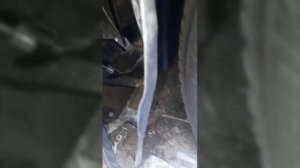 Замена слабых штатных противотуманных ламп TOYOTA WISH 1.8S 2ZR-FAE