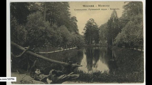Сокольники || Московские истории смотреть онлайн