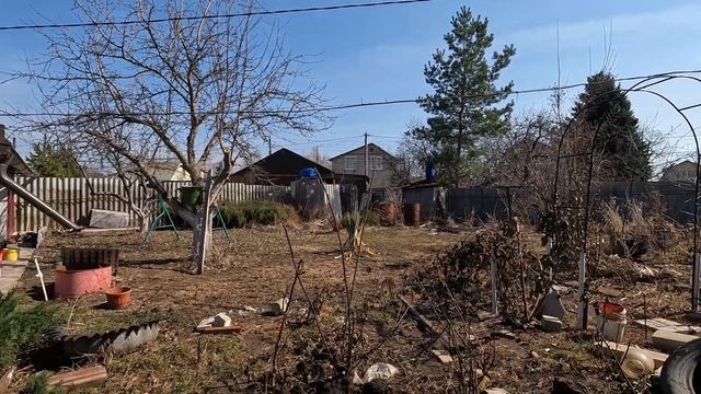 Чуть не Забрали уличного Пса мы не можем без собак Трешь видео смотреть онлайн