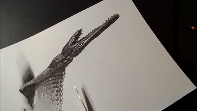 How To Draw A 3d Crocodile! смотреть онлайн