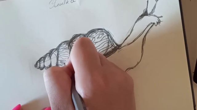 Рисуем улитку ? простым карандашом ✏️ смотреть онлайн