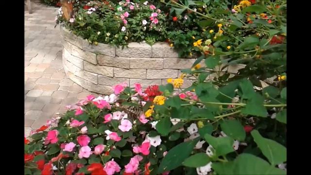 butterflies смотреть онлайн