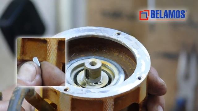 Разборка насоса Беламос серии TM смотреть онлайн