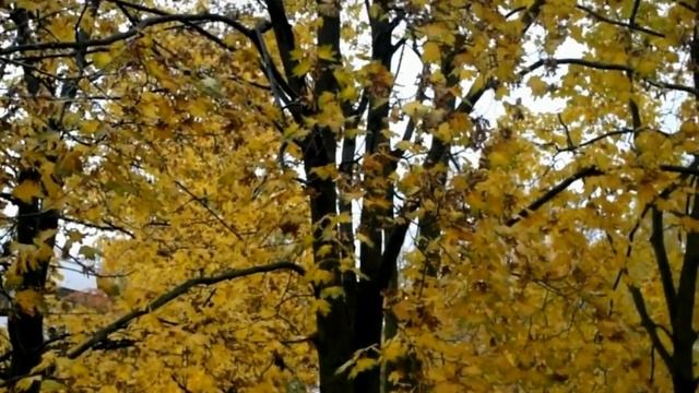 Идеи лучших дизайнеров для осенней сервировки стола. Антиквариат. Винтаж.