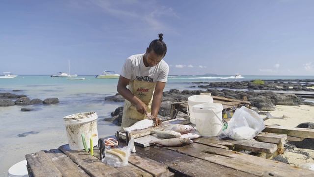 Чем заняться на Маврикии. Пляжи, развлечения. What To Do In Mauritius.