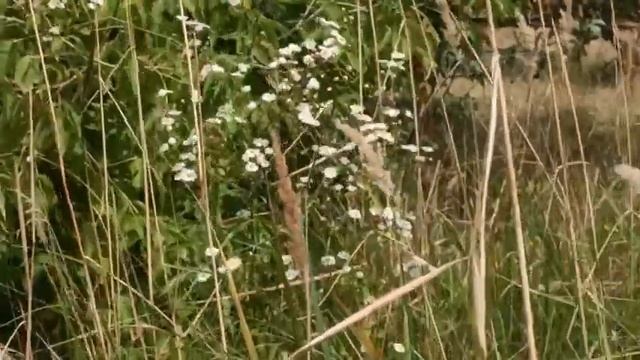 Почему нельзя спать когда заходит солнце... смотреть онлайн