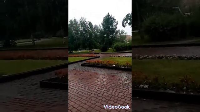 В парке под дождём.