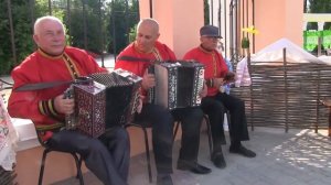 Цыганочка под гармошки и русские ложки