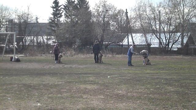 ОКД Новосибирск 2012 смотреть онлайн