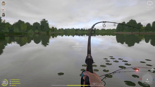 Tutti Frutti testen am Dudu Baum am Bernsteinsee | #RF4 | Russian Fishing 4 #426 | Deutsch смотреть онлайн