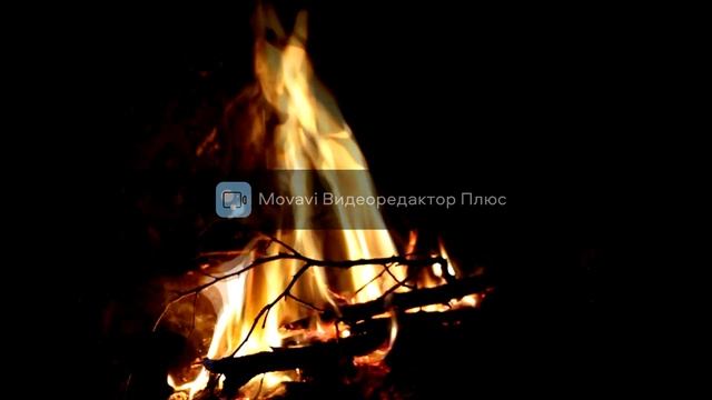 Сказка для взрослых Винни пух пух смотреть онлайн