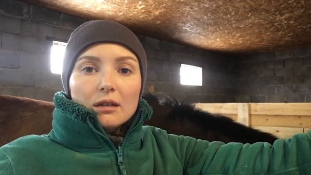 КАК ПРОХОДИТ ОТЪЕМ ЖЕРЕБЕНКА ОТ МАТЕРИ. ЧТО С МАЛЕНЬКИМИ ПОРОСЯТАМИ КОТОРЫХ КУПИЛИ НА РЫНКЕ смотреть онлайн