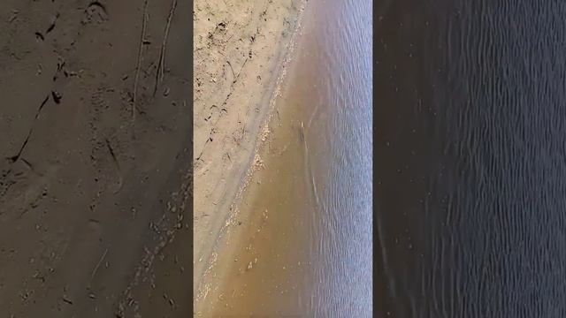 #shorts. #рыбалка. #алтайский край. #Чумыш. Щучка на живчика. смотреть онлайн