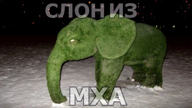 СЛОН ИЗ МХА смотреть онлайн