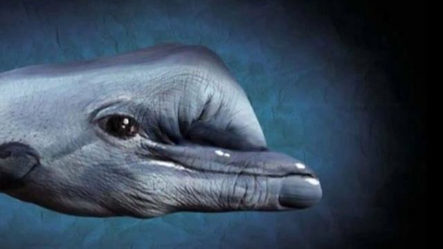 Рисунки на руках смотреть онлайн