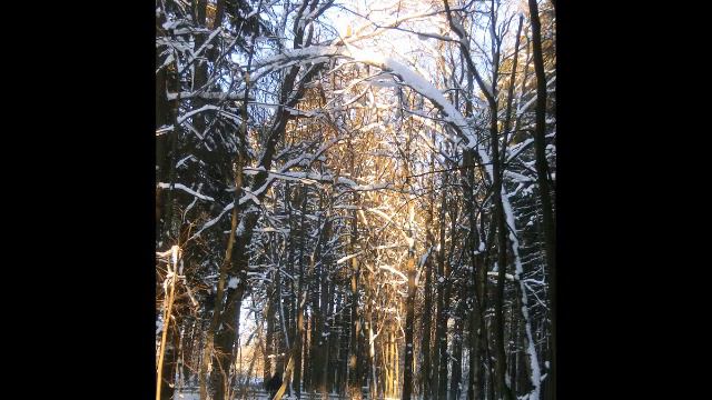 Солнечная зима. Январь 2012 смотреть онлайн