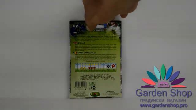 Seed of flowers for birthday and arranging - Nigel (NIgella Damascena) смотреть онлайн