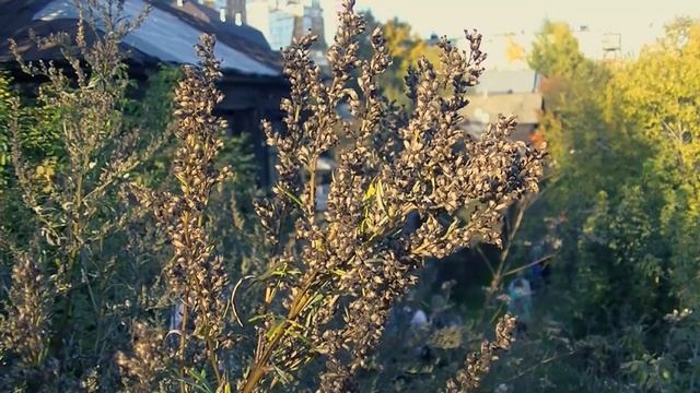 Пермь неизвестная. Экскурсия. Места силы. Разгуляй. смотреть онлайн