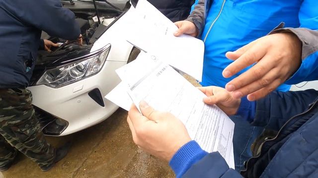 Из Краснодара в Сочи за своей МЕЧТОЙ ❗️ смотреть онлайн
