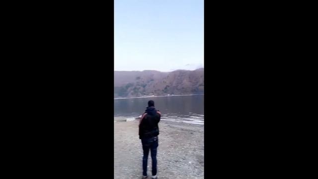 Япония АПРЕЛЬ 2020 год. 桜, 櫻 са́кура зачастую обозначает вишню мелкопильчатую... смотреть онлайн