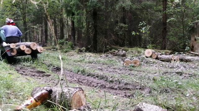 мотоблок мб-1 ЛУЧ. в лес за дровами. смотреть онлайн