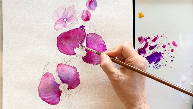 Watercolor Painting -Phalaenopsis Orchid-Magenta Color-Tutorial Step by Step смотреть онлайн