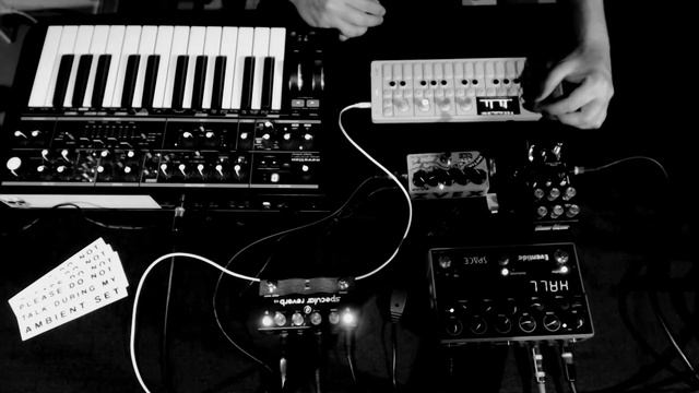Terran Wretch - Doom Drone w Bass Station II, Op-1 смотреть онлайн