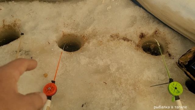 Рыбы много - поклева МАЛО ? ,Рыбалка в Нейве Рудянке(Теплый) смотреть онлайн