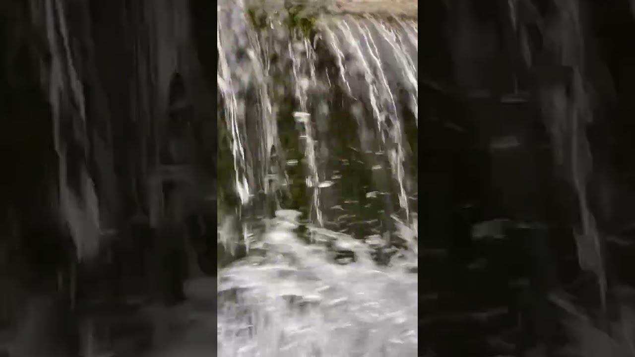 26.02.23 г. Погода Лазаревское. Природа просыпается #shorts #погодалазаревское #погодасочи #сочи смотреть онлайн