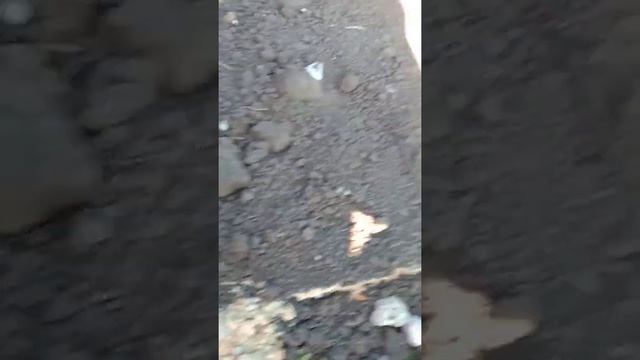 Гидроизоляция фундамента и черновая отмостка. смотреть онлайн