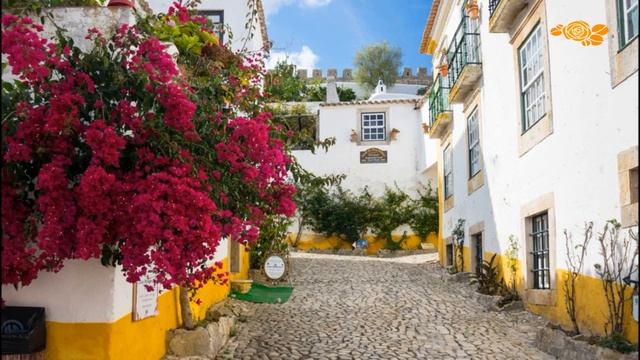 Ленивая жена. Португальские народные сказки Выпуск 4 смотреть онлайн