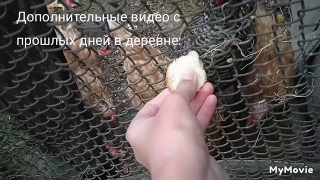 Озеро ( водохранилище) в Любоничах в августе| виды и просторы. смотреть онлайн