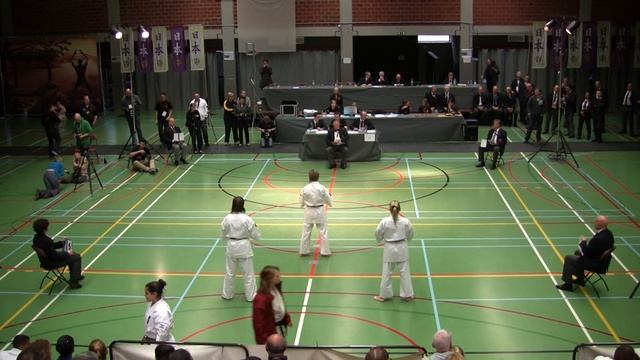 IFK World Tournament Kyokushin kata groups Russia 2014 смотреть онлайн