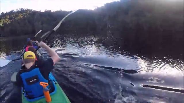 Quadrupal 4 seat kayak. point 65 North on the Pieman River смотреть онлайн