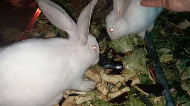 ПРОДАТЬ ВСЕ МАШИНЫ и КУПИТЬ ЭТО....в Самаре смотреть онлайн