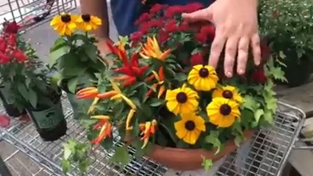 Apartment fall flower containers смотреть онлайн