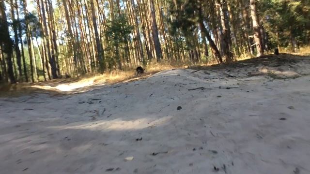 Сентябрь, 2020, дача, скукота... смотреть онлайн