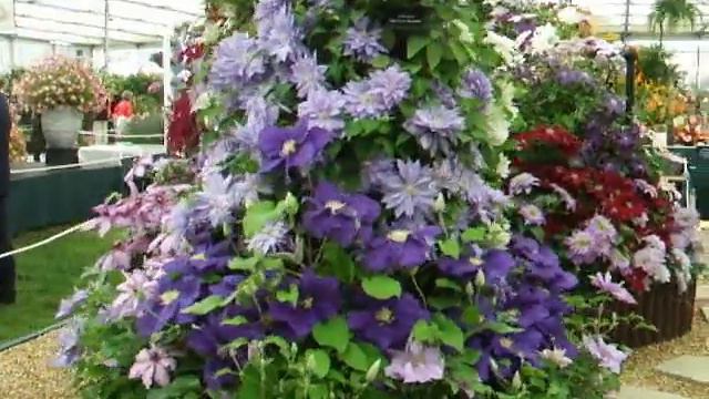 Chelsea Flower Show 2008 Part 2 смотреть онлайн